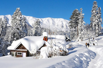 Srinagar - Gulmarg